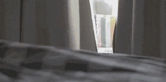 图片4.gif