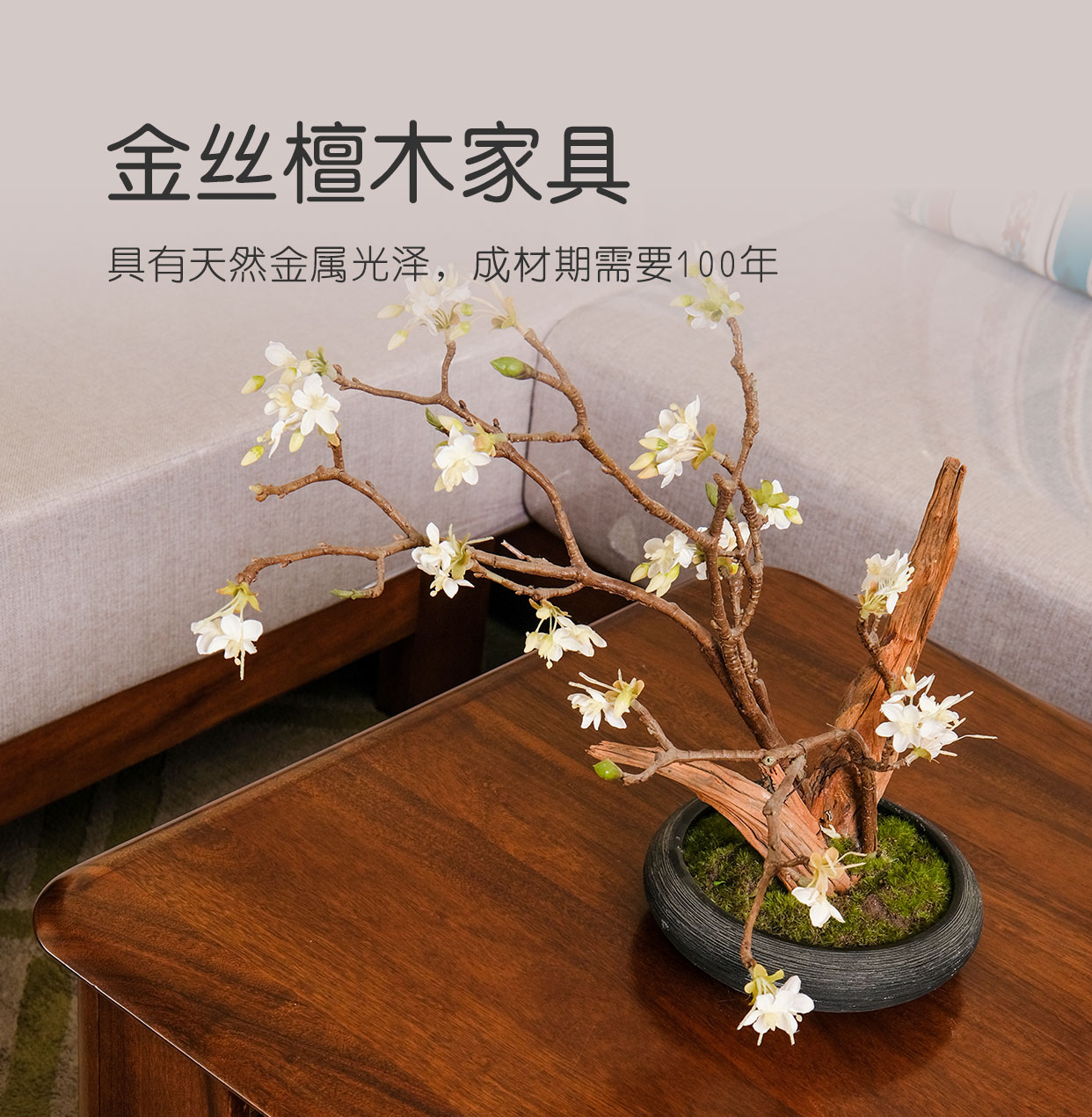 家具.jpg